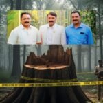 Muttil tree felling case