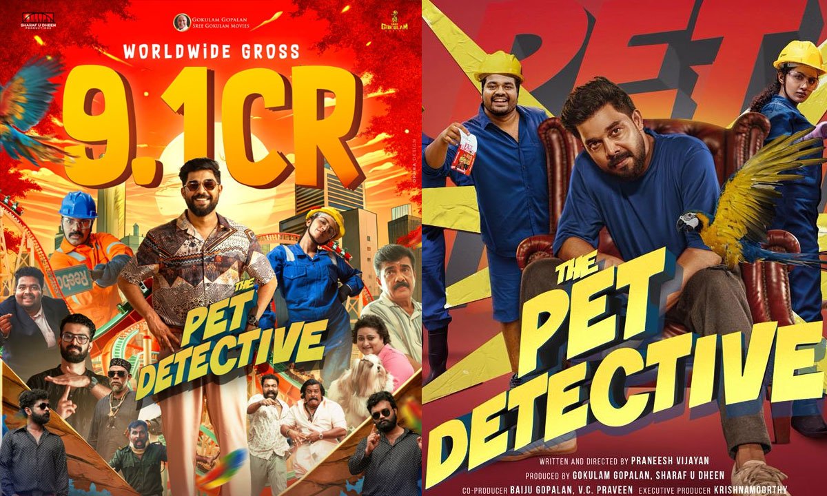 Pet Detective Movie Box Office