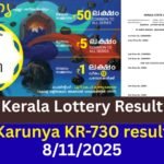 Kerala lottery Karunya KR-730 result 08/11/2025