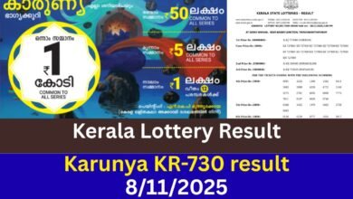 Kerala lottery Karunya KR-730 result 08/11/2025