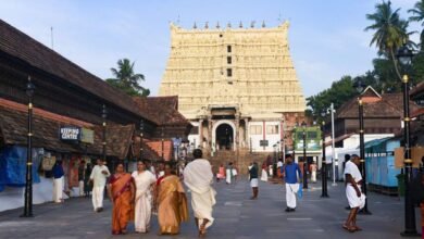Padmanabhaswamy Temple Idol Repair