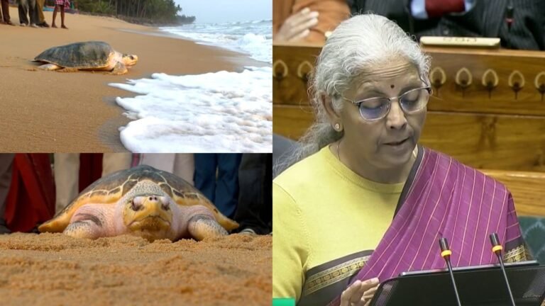 Union Budget 2026: Kerala Left High and Dry; “Sea Turtle Center” Only Takeaway Leaves State BJP in Turmoil