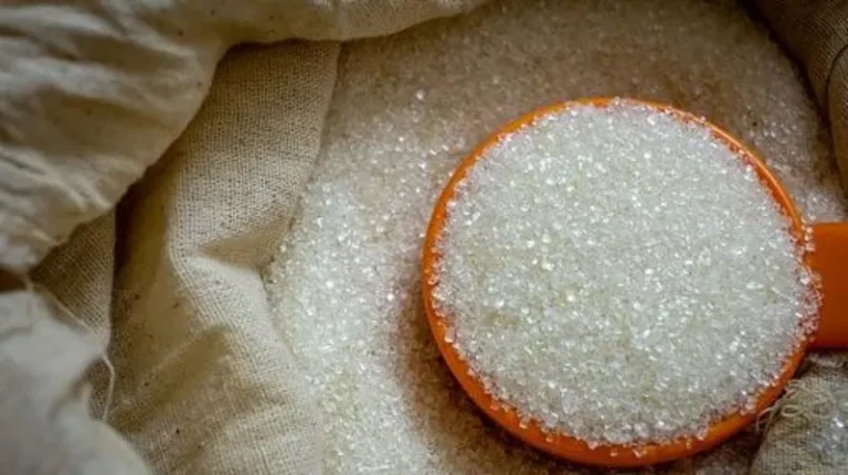 Sweet Crisis: Why India is Importing Sugar for the First Time in Nearly a Decade